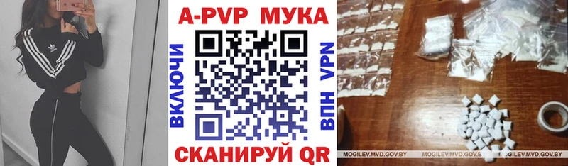 A PVP крисы CK  Химки 