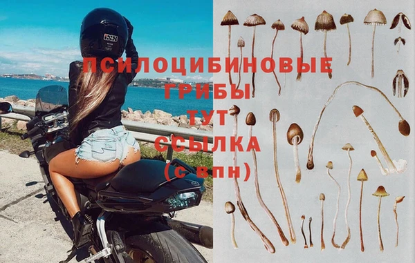 2c-b Лихославль