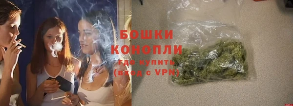 молекула духа Ладушкин