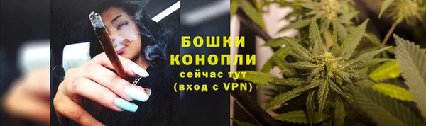 spice Липки