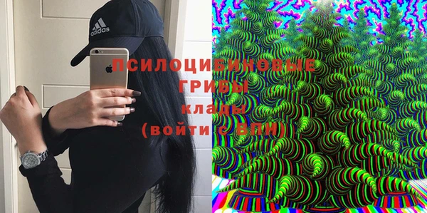 spice Липки