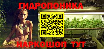 метадон Гай
