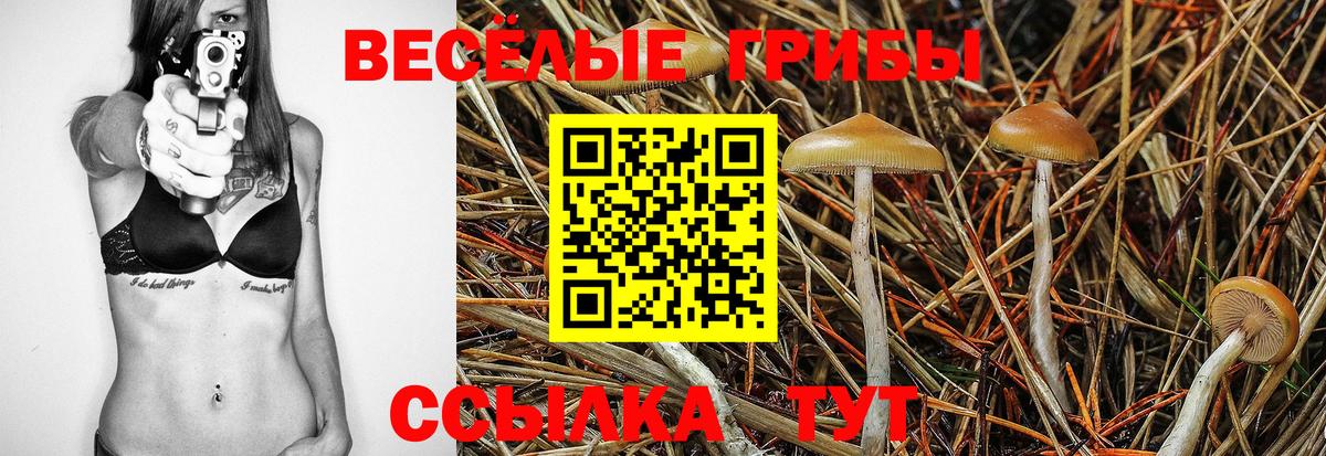 Галлюциногенные грибы MAGIC MUSHROOMS Химки