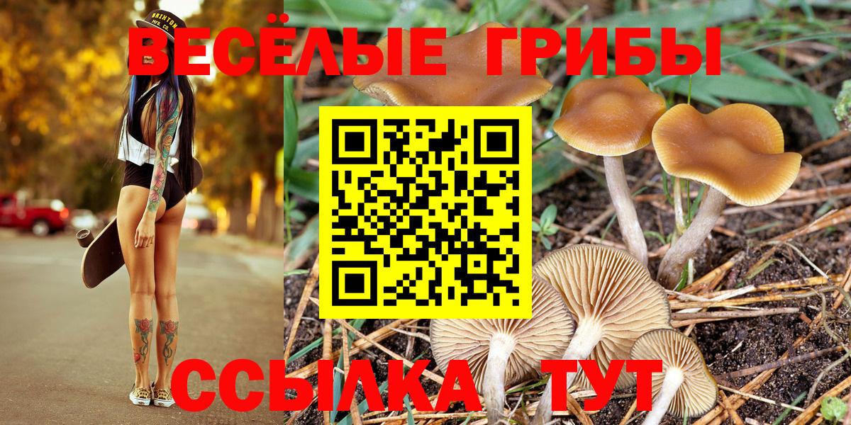 Химки  Галлюциногенные грибы Magic Shrooms  наркотики  Псилоцибиновые грибы GOLDEN TEACHER  Вход с VPN 